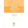 DERECHO PROCESAL CIVIL PARTE ESPECIAL (nueva edición curso 2022-23)